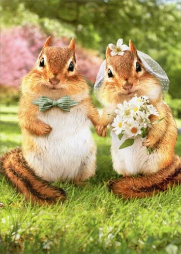 front of card is a photo of two chipmunks dressed in wedding outfits holding hands 