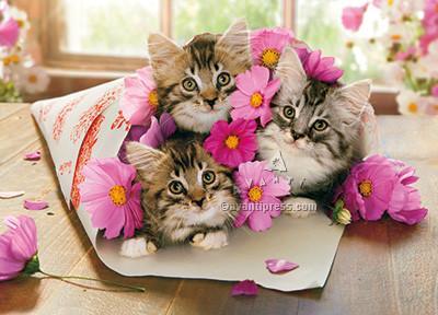 front of card has a bouquet of kittens and pink flowers laying on a table