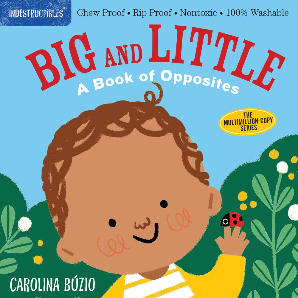 front cover of book has illustration of a little boy with a ladybug on his finger while outside, title, and author's name