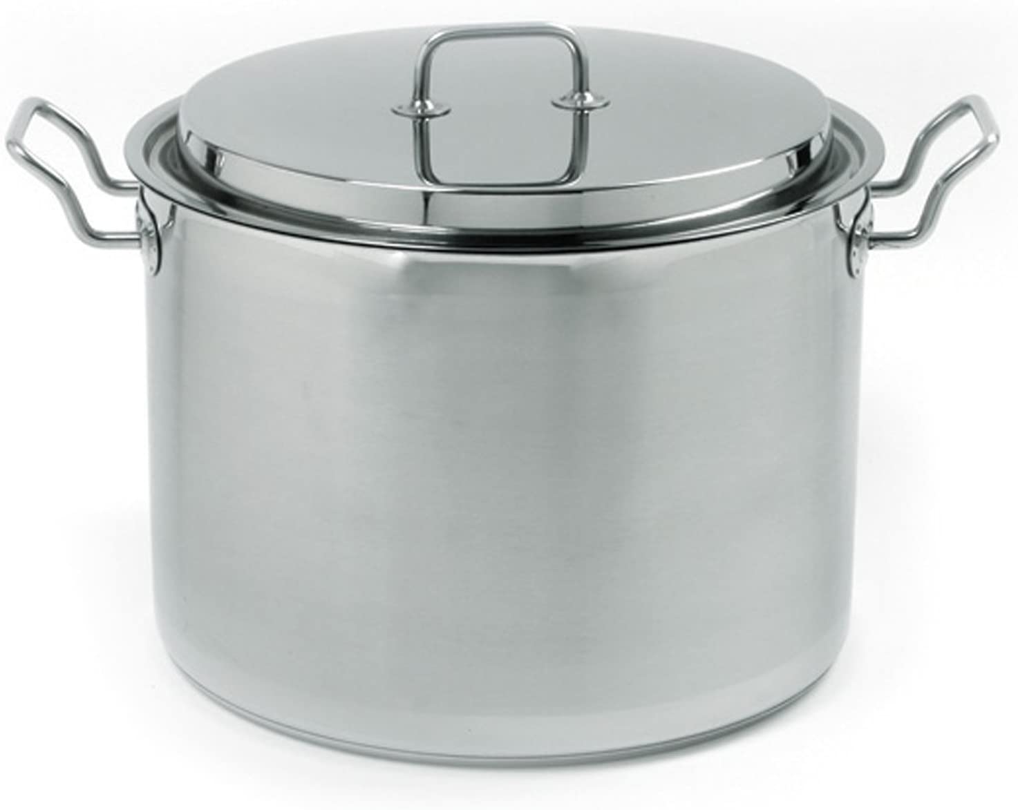 stainless steel pot with handles and lid.