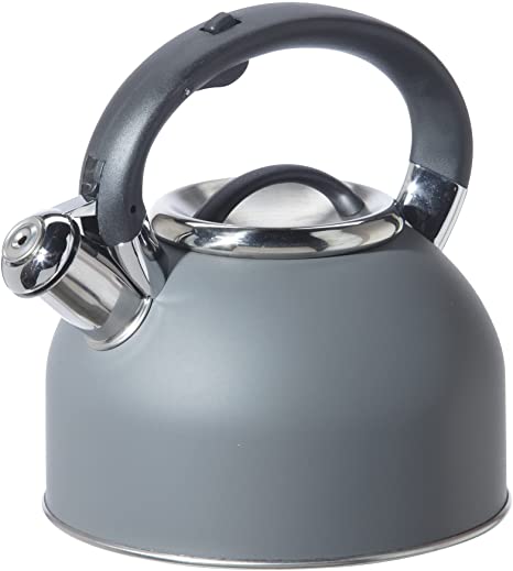 grey kettle with stainless steel spout and black handle.