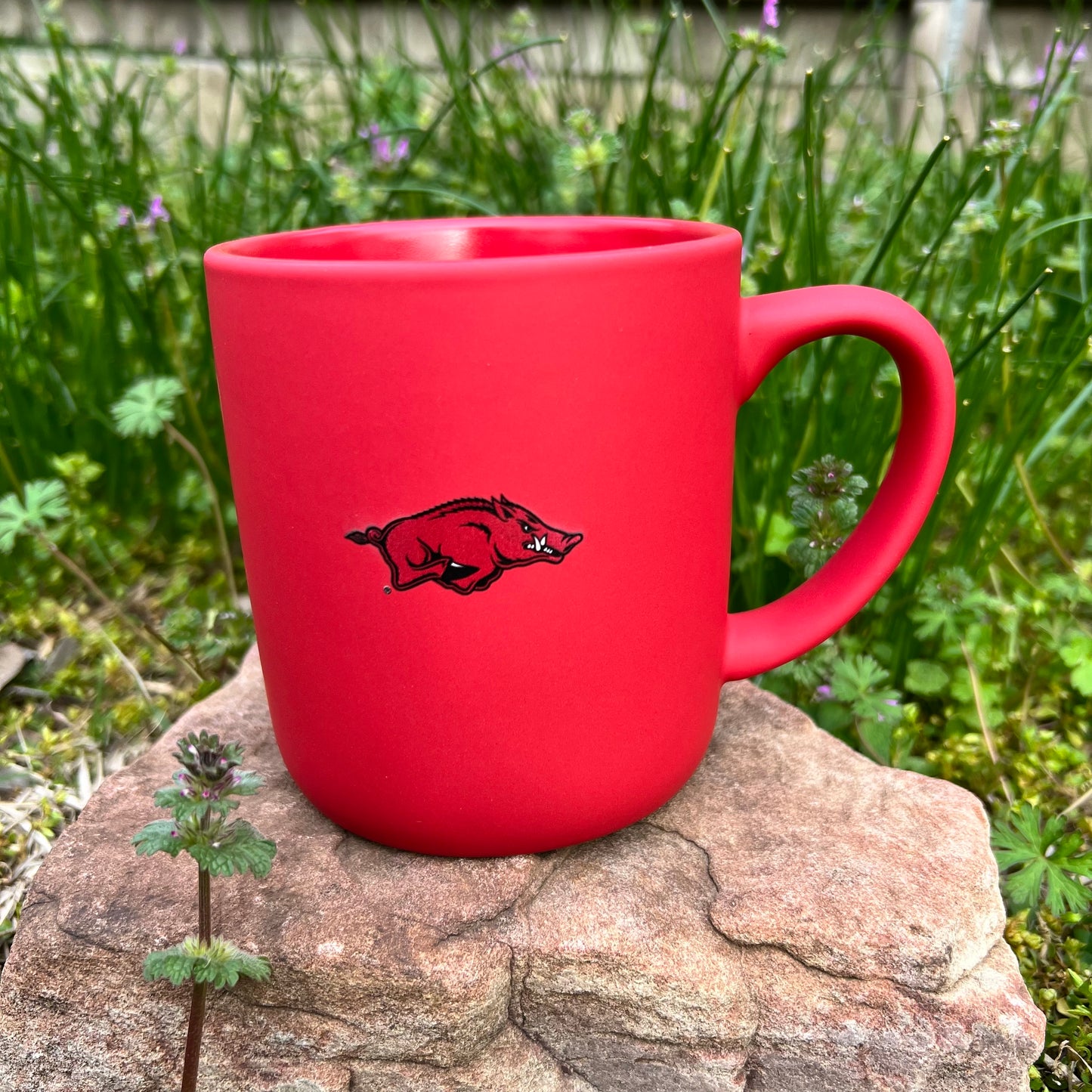 red mug with razorback logo set on a rock with greenery in the background.