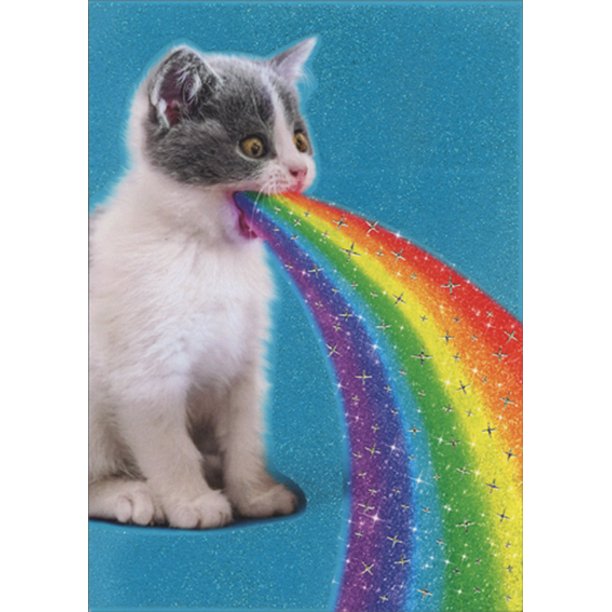 front of card is a photograph of a cat barfing a rainbow on a blue background