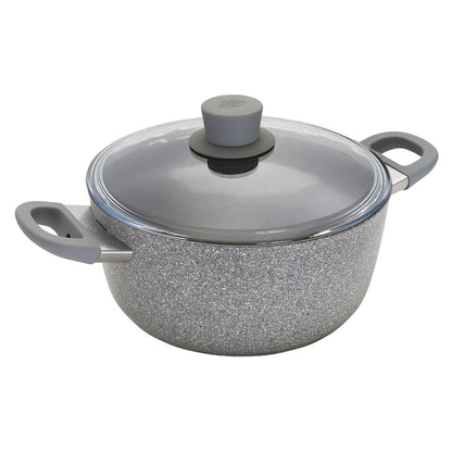 stock pot with lid on white background