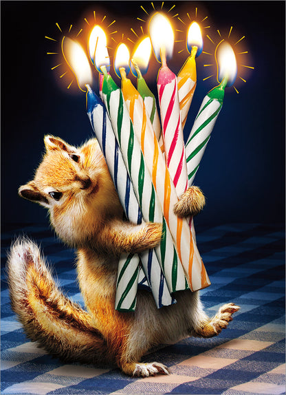 front of card has a chipmunk holding multiple birthday candles on a blue and white checked tablecloth