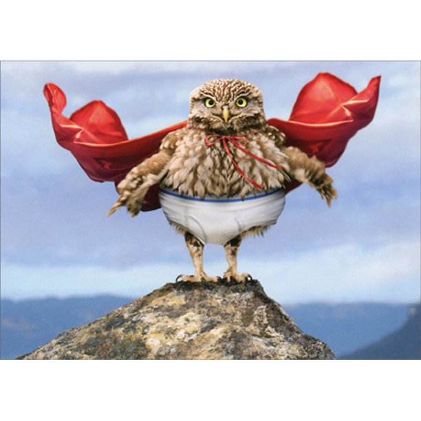 front of card is a photograph of an owl wearing underwear and a cape on top of a mountain