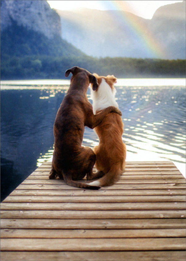 front of card is a photograph of two dogs on a pier arm in arm looking at a lake in the mountains with a rainbow