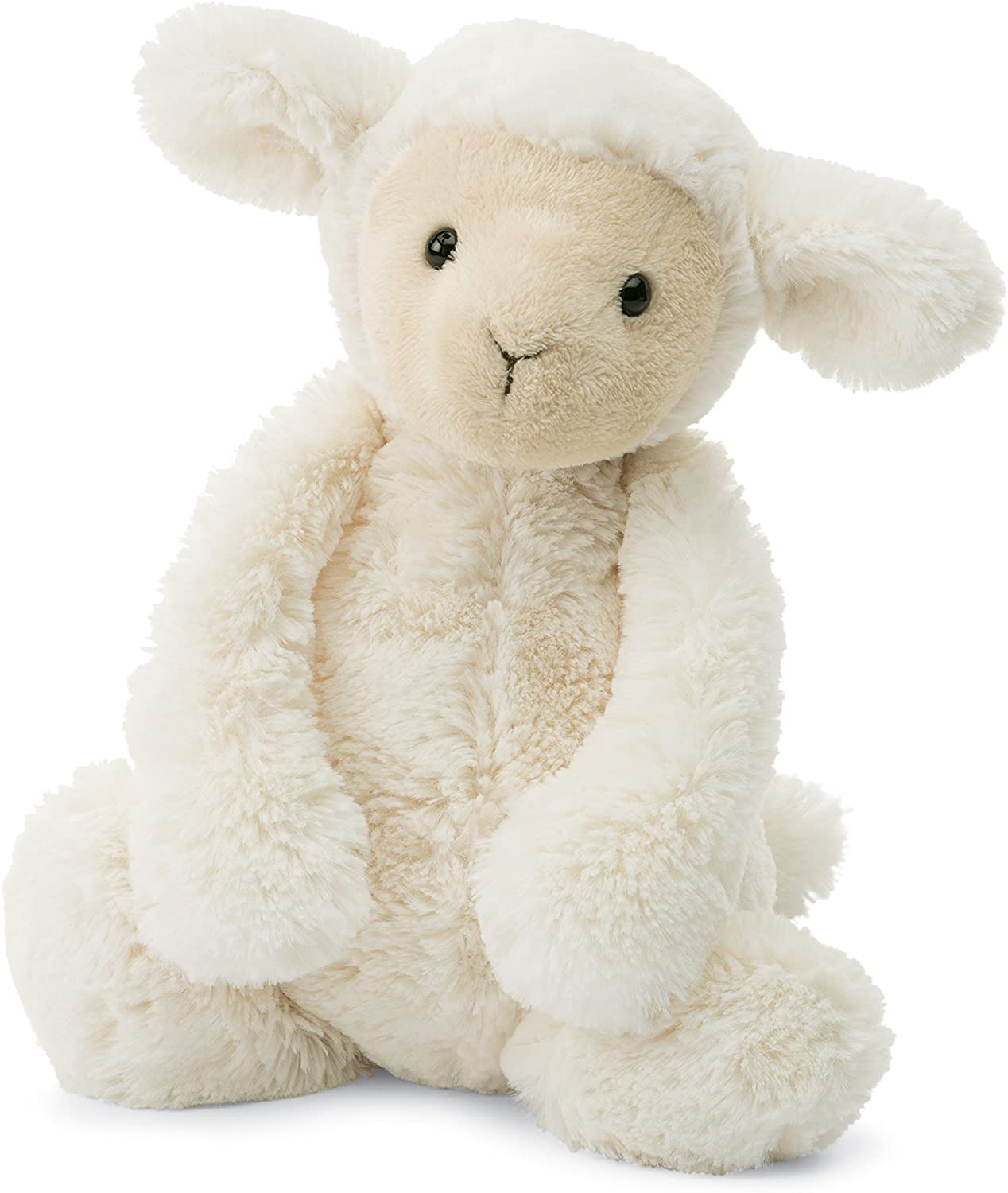front view of the bashful lamb on a white background