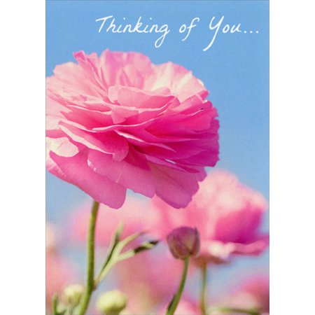 front of card has a pink flower against a blue sky and text in white listed in the description