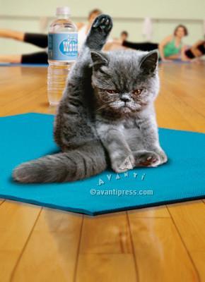 front of card is a photograph of a kitten doing yoga in a yoga studio