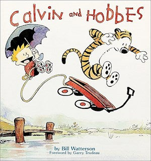 book cover with title, author, and illustration a child and a tiger riding in a wagon flying over a lake with an umbrella