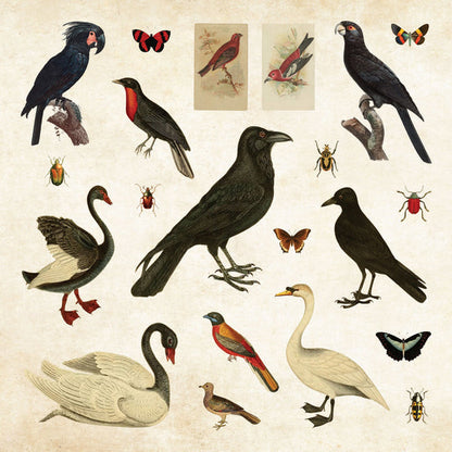 another sticker page full of birds, butterflies, and bugs
