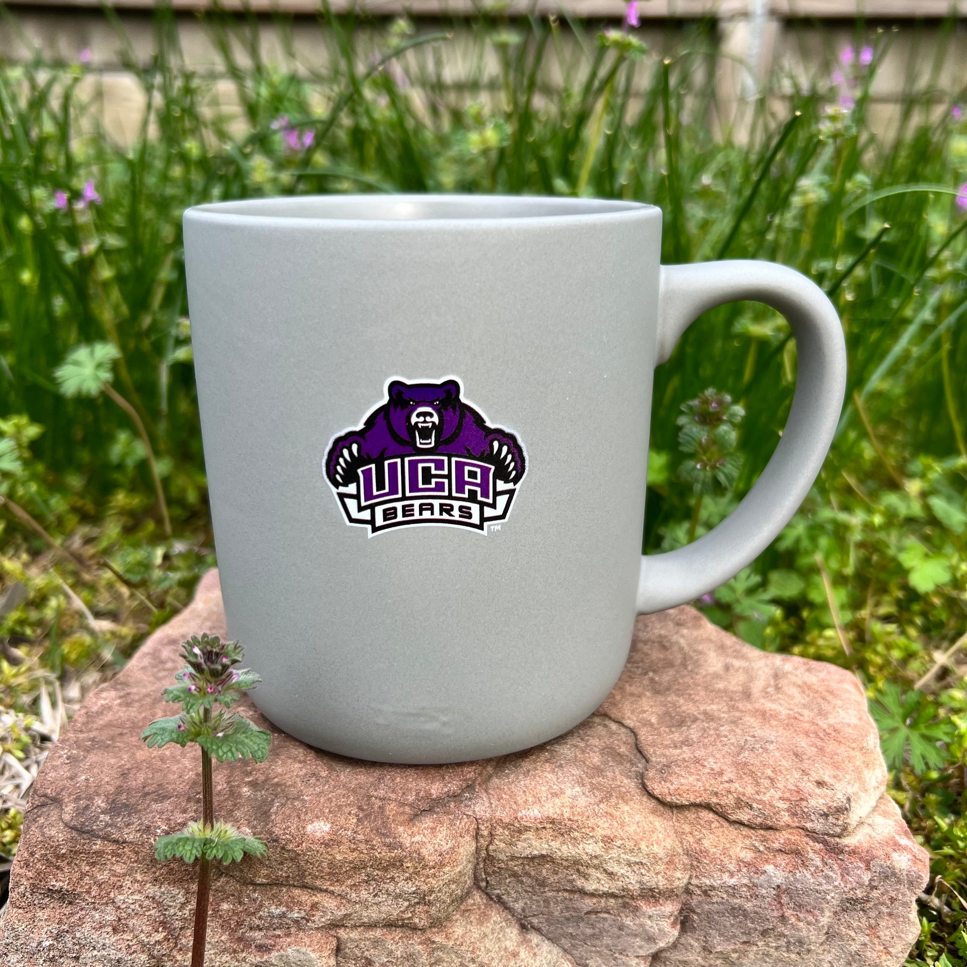 grey mug with purple uca bears logo on it set on a rock with greenery in the background.
