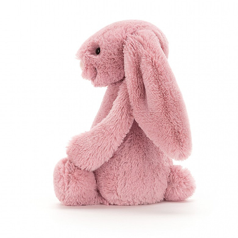 side view of the tulip pink bashful bunny on a white background