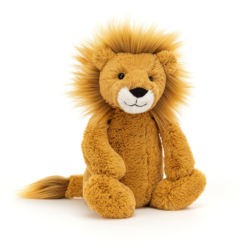 front view of bashful lion on a white background