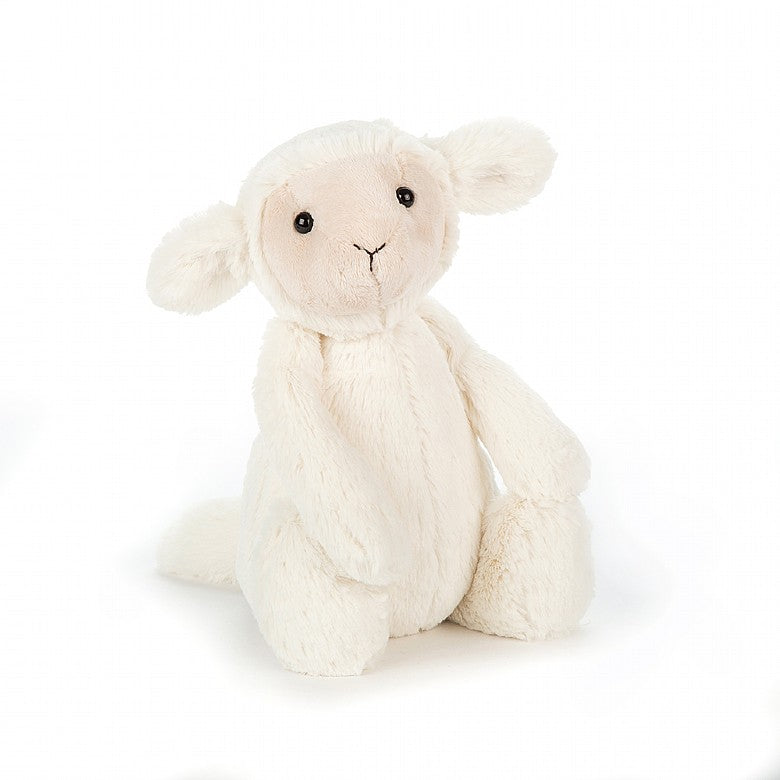 angled view of the bashful lamb on a white background