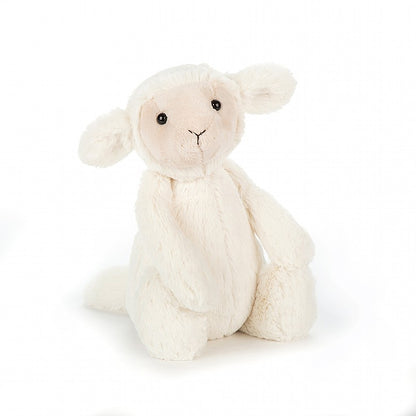 angled view of the bashful lamb on a white background
