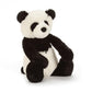 front view of the bashful panda on a white background