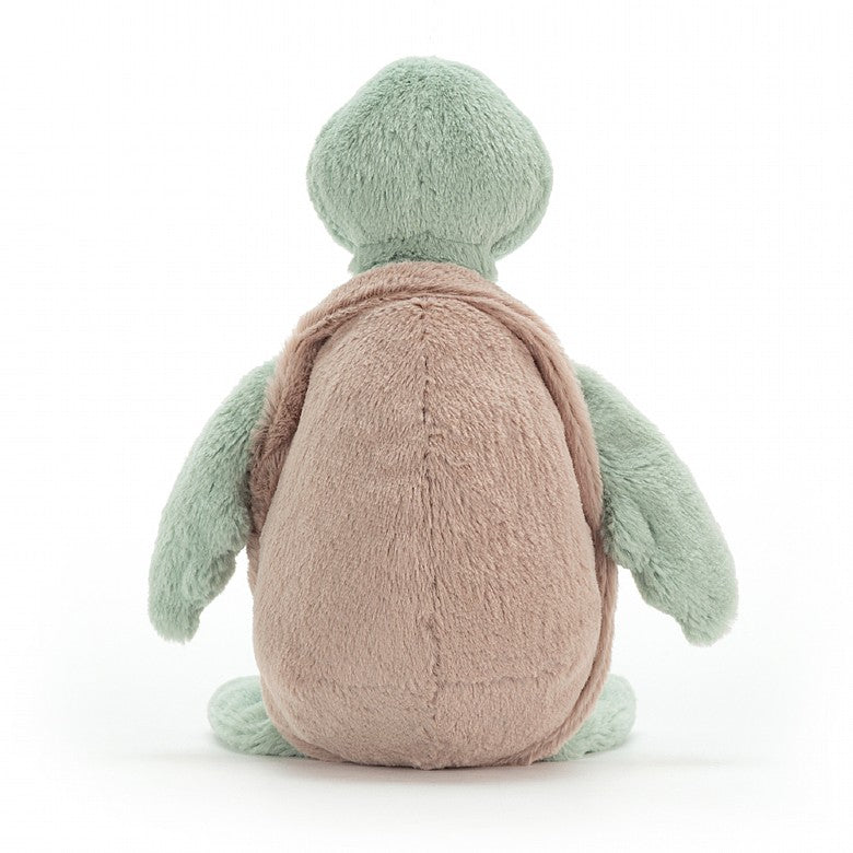 back view of the bashful turtle on a white background