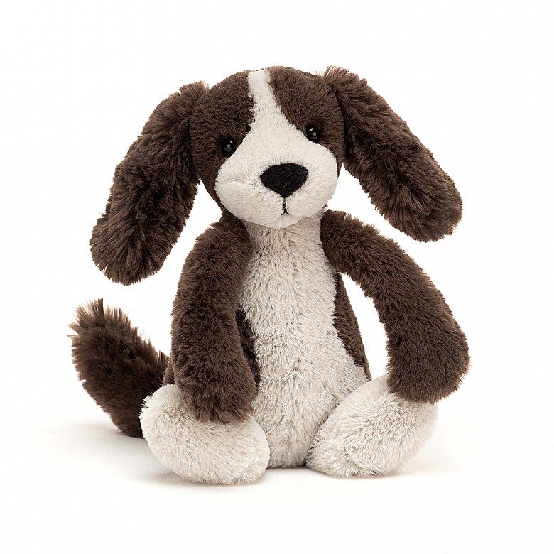 front view of bashful fudge puppy on a white background