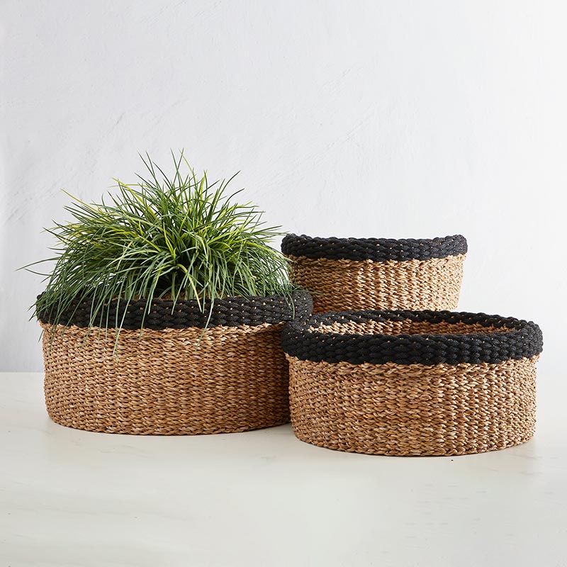 small, medium, and large seagrass baskets with black rims, the large basket has a plant in it.