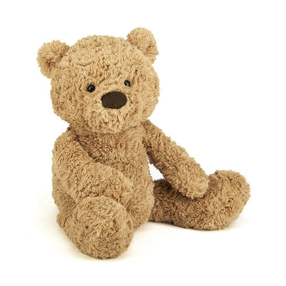 front view of bumbly bear on a white background