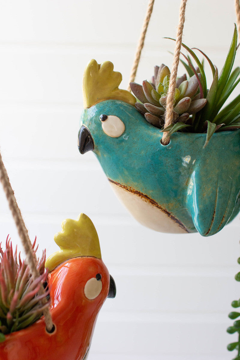 close up view of both colors of ceramic bird hanging planters filled with succulents and displayed hanging against a white wood slat wall