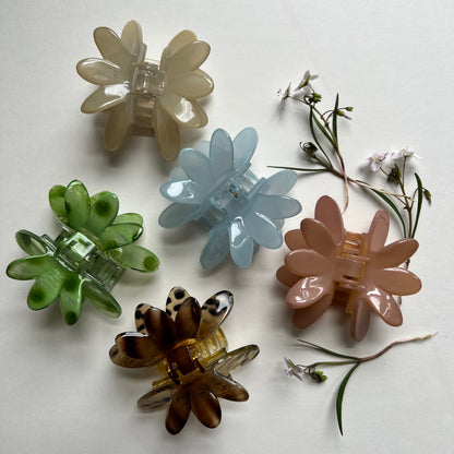 5 colors of waterlily hair clips arranged on a white background with small white flowers.