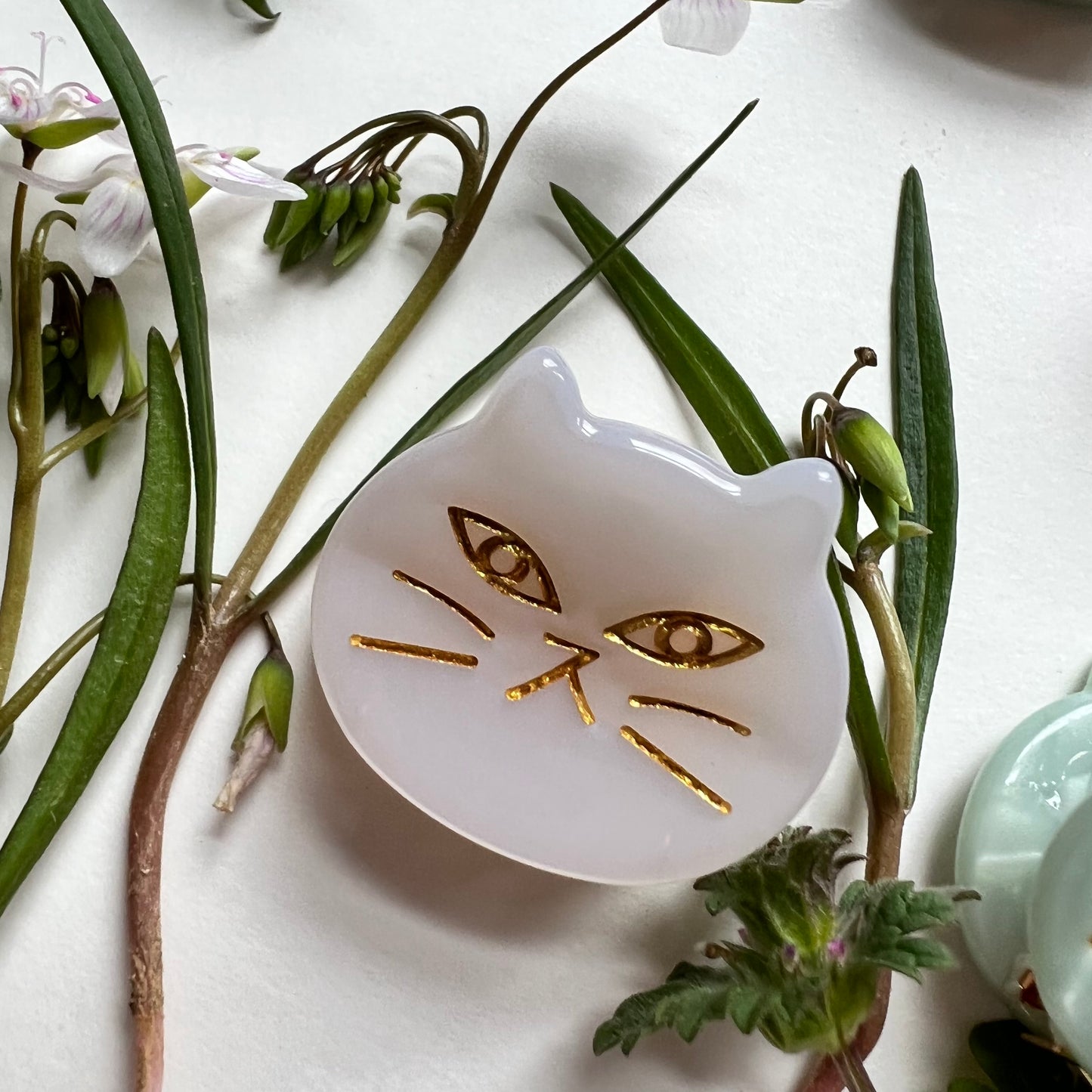 close-up of white cat face clip.
