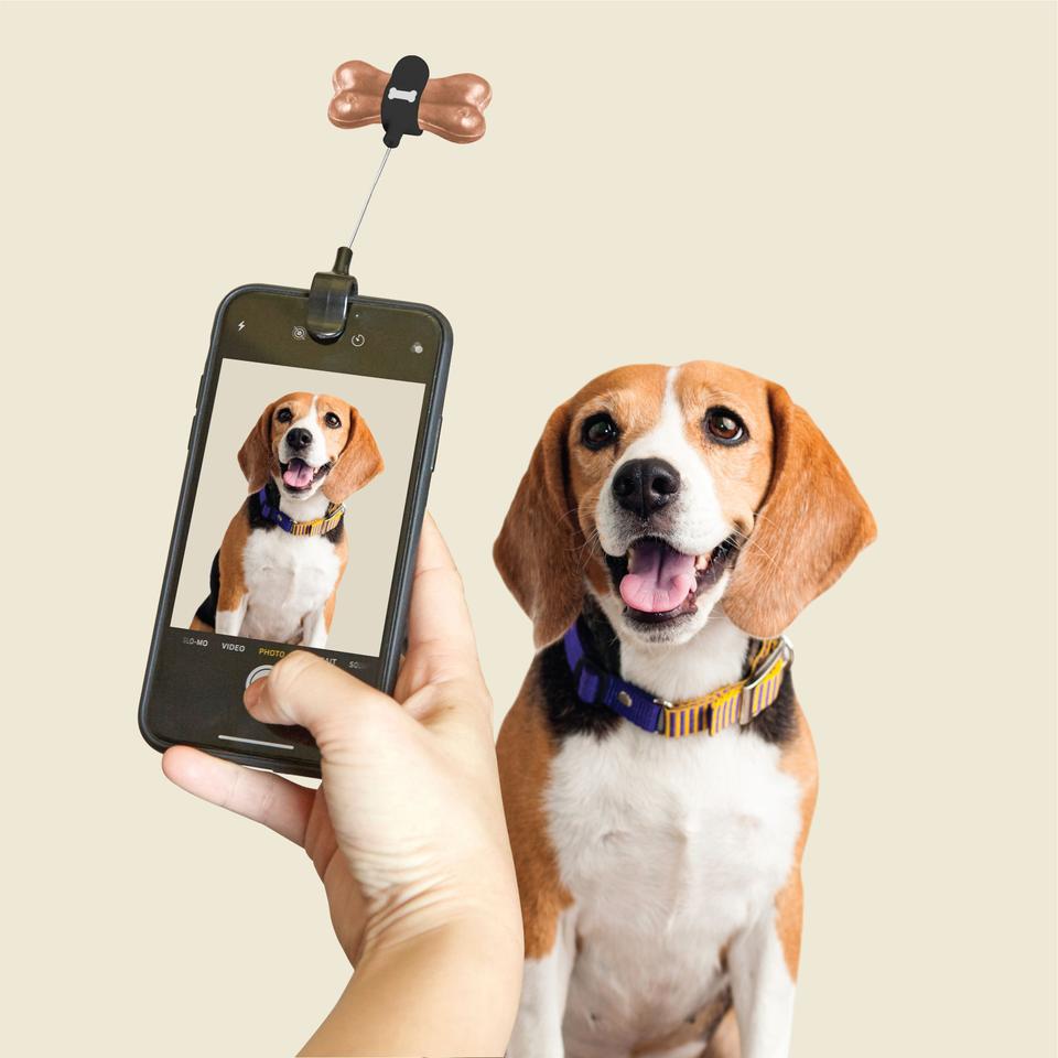 illustration of a person using the dog treat selfie clip while taking a photo of a dog against a white background