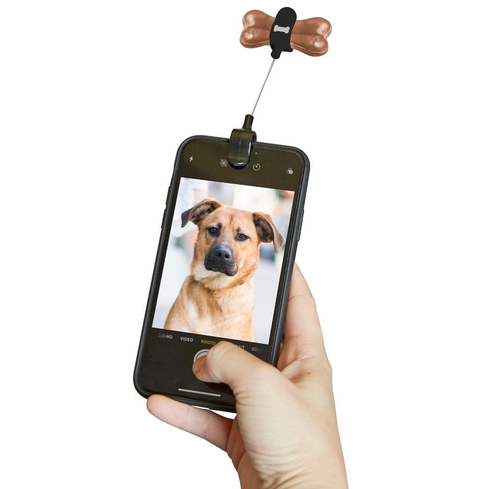 a person holding a cell phone with the dog treat selfie clip attached against a white background