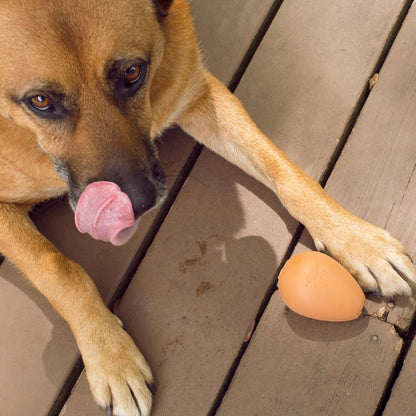 a dog laying on a deck with the bouncy egg treat ball