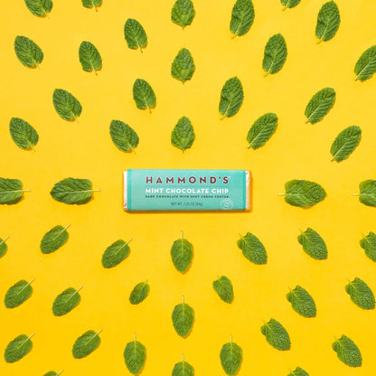 the mint chocolate chip dark chocolate candy bar surrounded by mint leaves on a yellow background