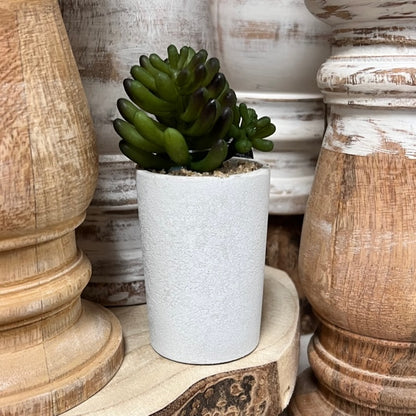close up view of the round succulents displayed amongst wooden candlesticks