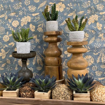 mango wood candle holder displayed with potted succulents and other candle holders with a floral print background