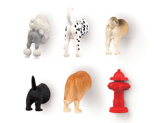 set of six dog butt magnets on a white background
