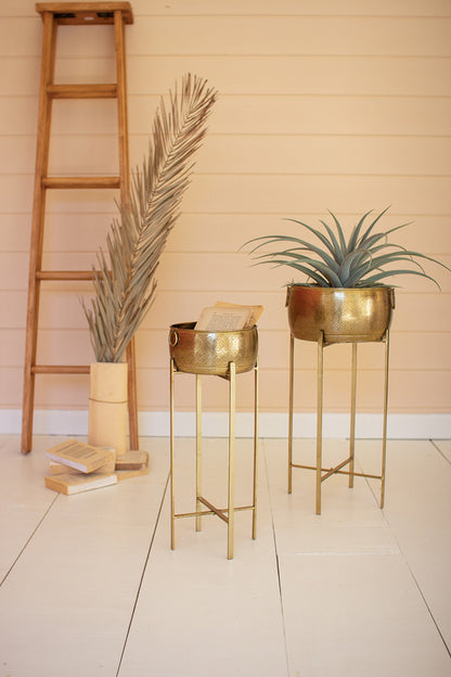 2 sizes of brass finished pots on stands, larger has plant in it, smaller has papers in it.