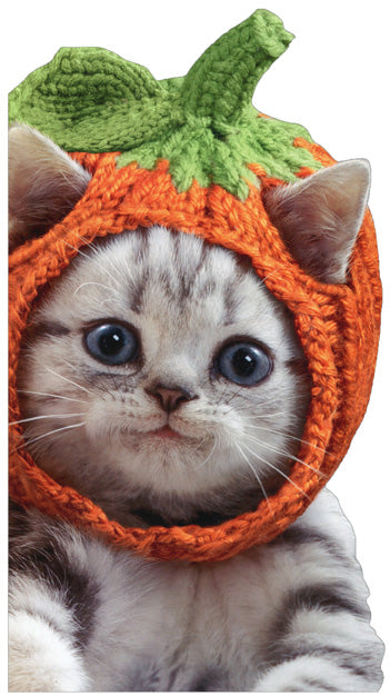 front of card is a photograph of kitten wearing a knitted pumpkin hat 