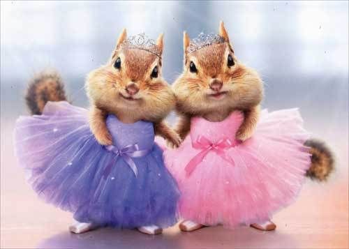 front of card is a photo of two chipmunks in ballet outfits wearing tiaras holding hands