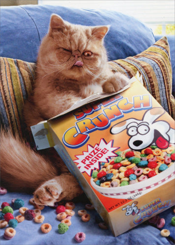 front of card is a photograph of a cat eating a box of crunch cereal
