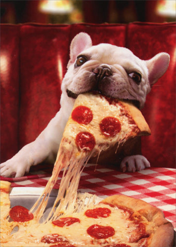front of card is photograph of a dog eating a slice of pizza