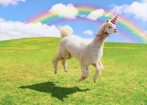 photograph of llama running through a field with a birthday hat on and a rainbow in the sky