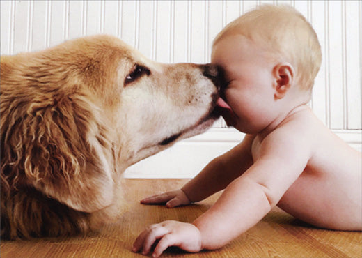 front of card is photograph of a dog licking the face of a baby
