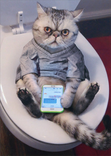 front of card is a photograph of a cat sitting in a toilet bowl reading text on a phone