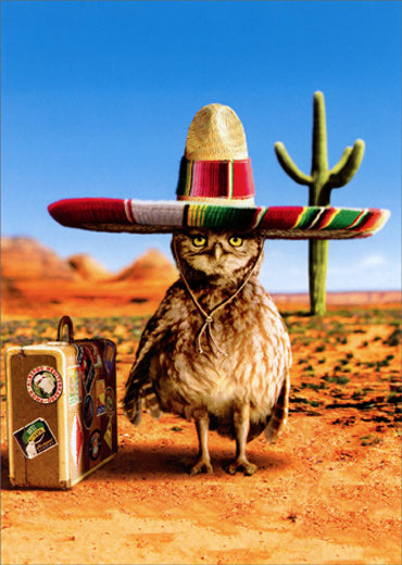 front of card is a photograph of an owl wearing a sombrero with a suitcase in the dessert 