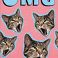front of card is cut out photographs of cats heads on a pink background with front text in blue
