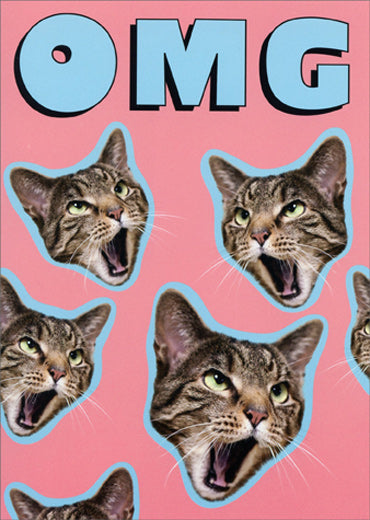 front of card is cut out photographs of cats heads on a pink background with front text in blue