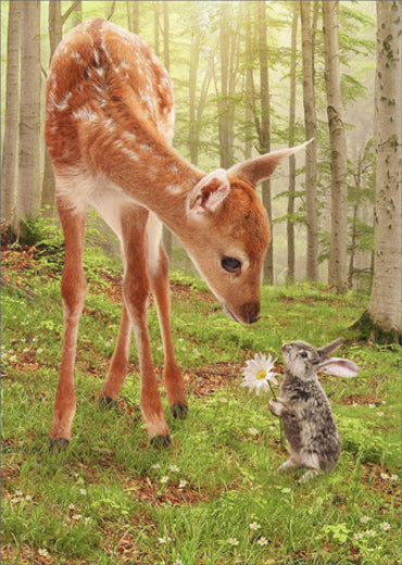 front of card is photograph of a spring scene with a deer looking at a rabbit holding a daisy