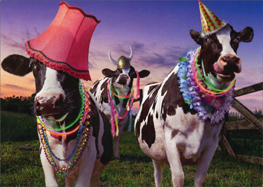 Avanti - Party Cows Birthday Card – Kitchen Store & More