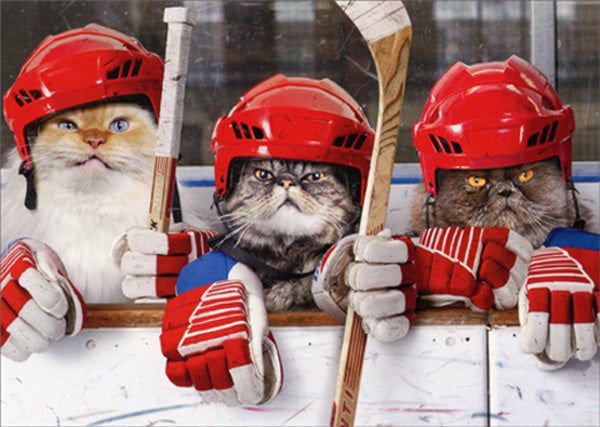 front of card is a photograph of three cats dressing in hockey gear